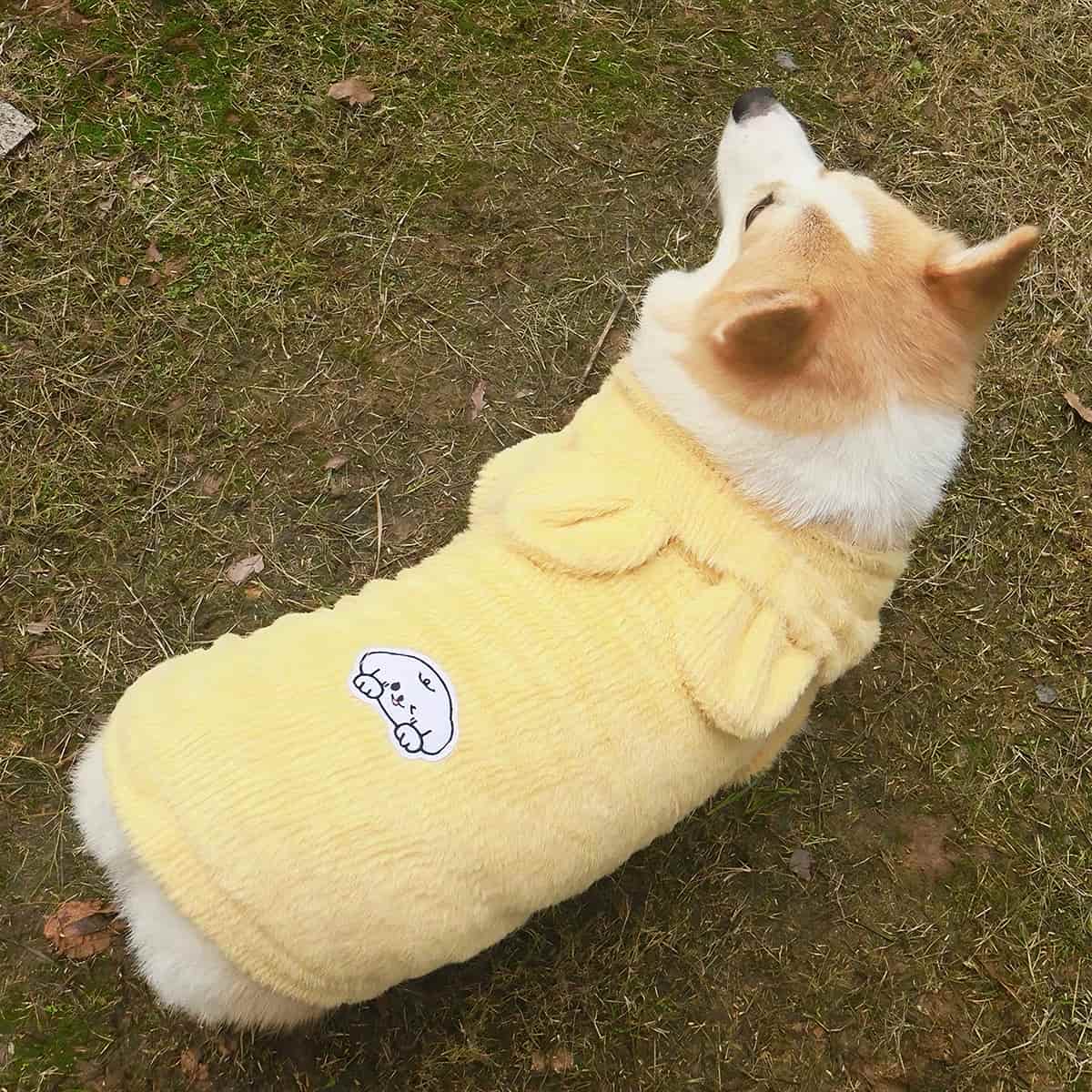 Chaleco para mascotas de otoño e invierno con capucha, estilo imitación visón, para gatos y perros (como caniches/Teddy).